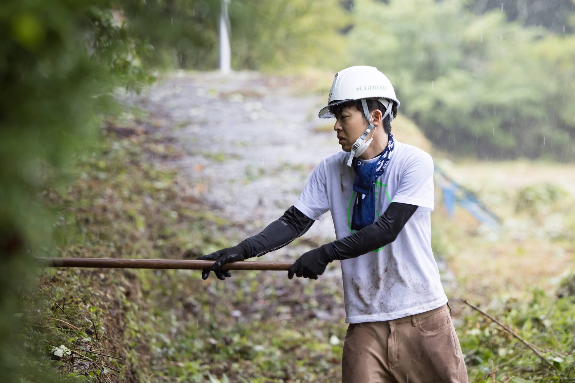 伐採のお仕事についてイメージ画像